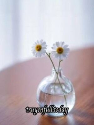 Tranh Hoạ Lòng Ai - Đường Tiểu Đường